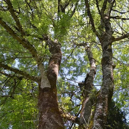 Duc Manoir D'hotes 4* Aubin (Aveyron)