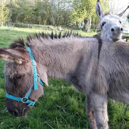 Bed & Breakfast Duc Manoir D'hotes 4*