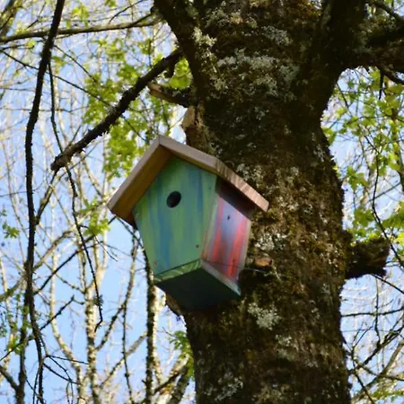 Duc Manoir D'hotes Bed & Breakfast