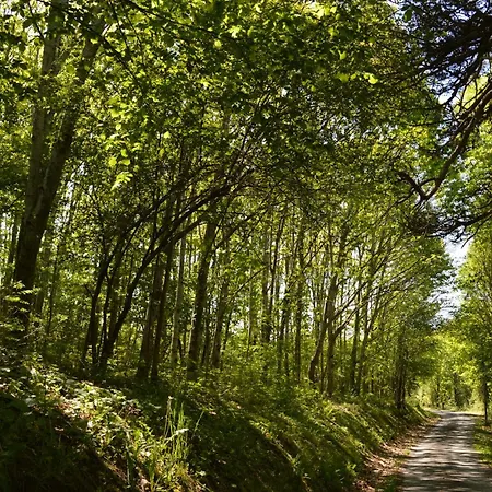 Duc Manoir D'hotes 4* Aubin (Aveyron)