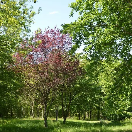 Duc Manoir D'hôtes 4*