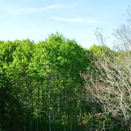 Duc Manoir D'hotes Отель типа 