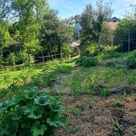 Duc Manoir D'hôtes Aubin (Aveyron)