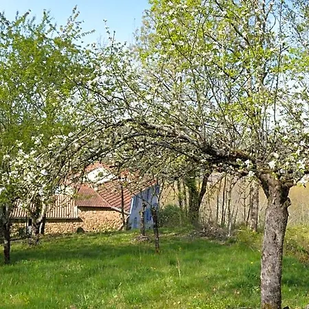 Duc Manoir D'hotes فندق مبيت وإفطار Aubin (Aveyron)